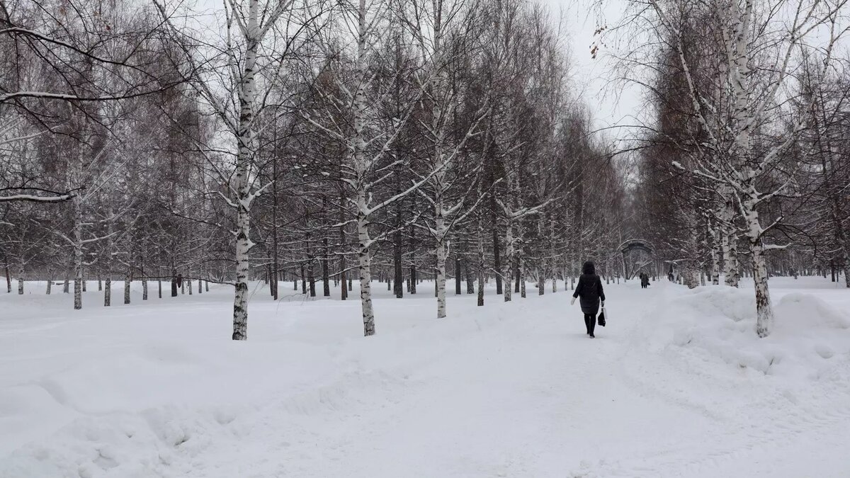     В столице ХМАО отменили концерт на Новый год. Причиной отмены стала холодная погода, написали в администрации города.