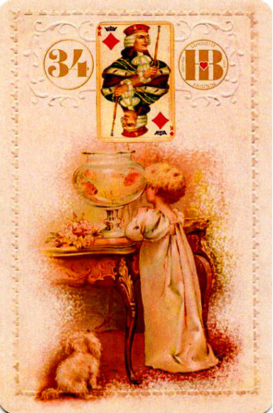 32 карта рыбы