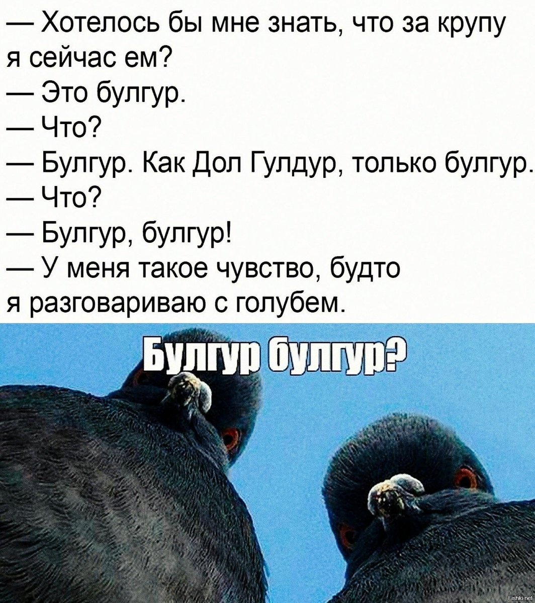 Пять минут хорошего настроения. Голуби. | Felix Shamirov | Дзен