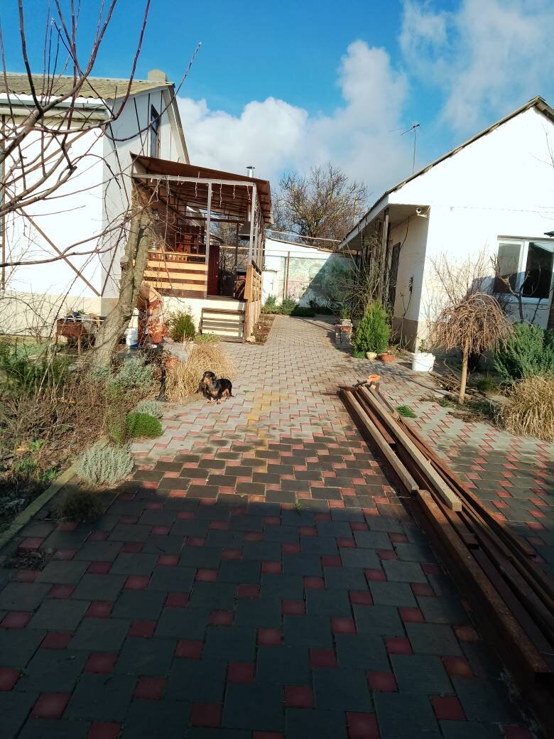 Горизонт завален! Ох, уж тот еще фотограф! Но небо-то видно какое! Синь!