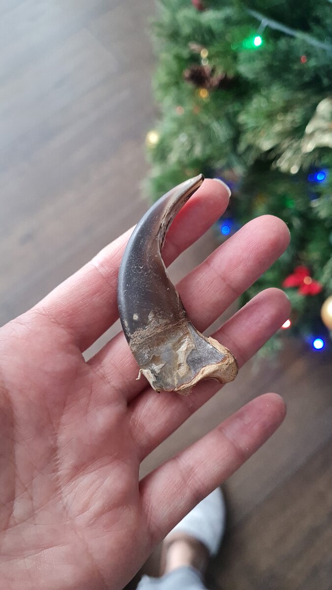 Ну хорош же❤