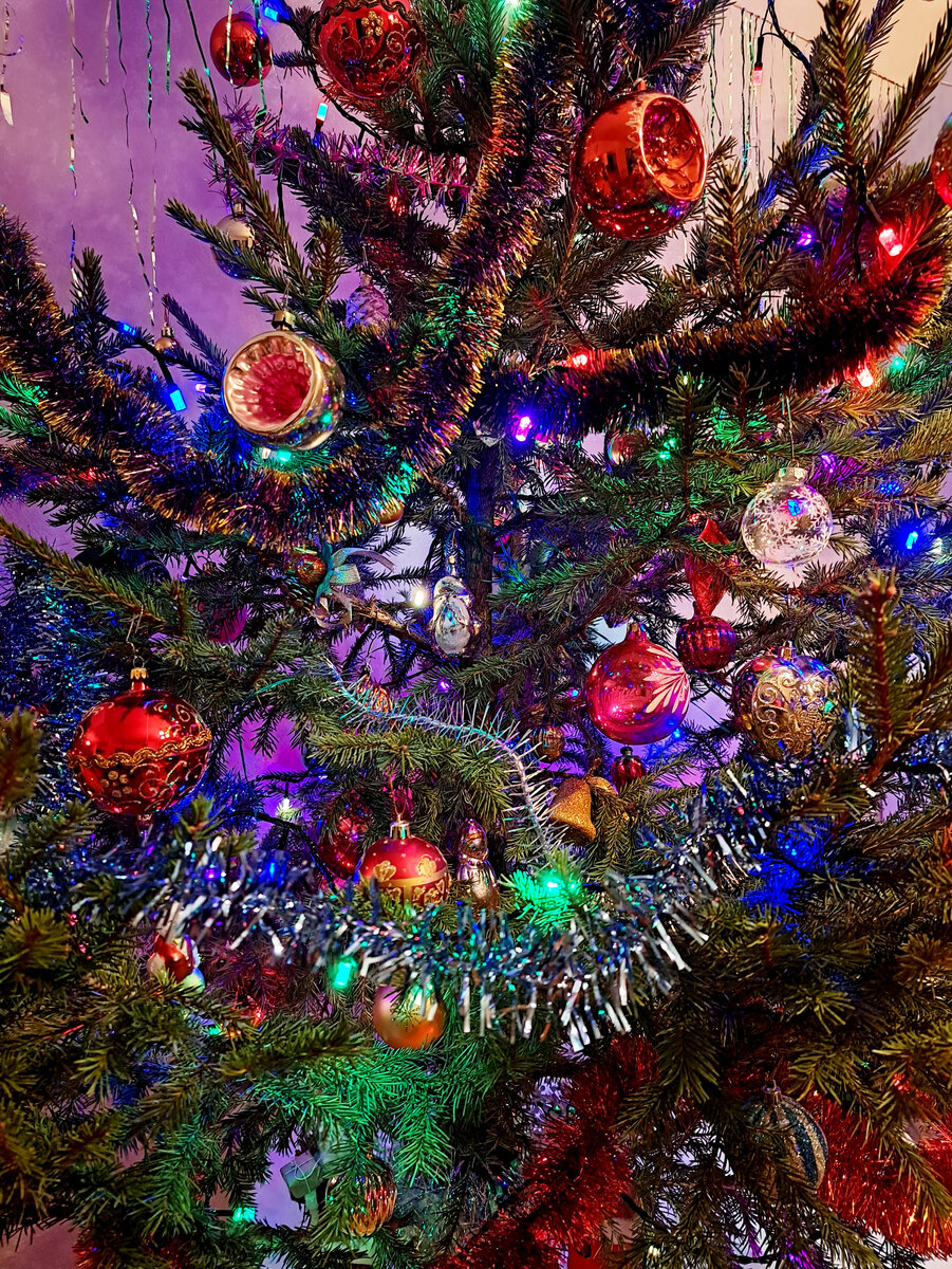 Наша семейная ёлка