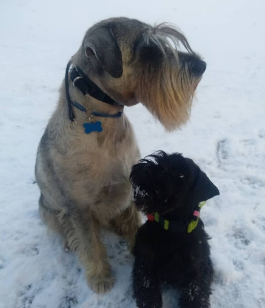 Праздновать буим, брат?