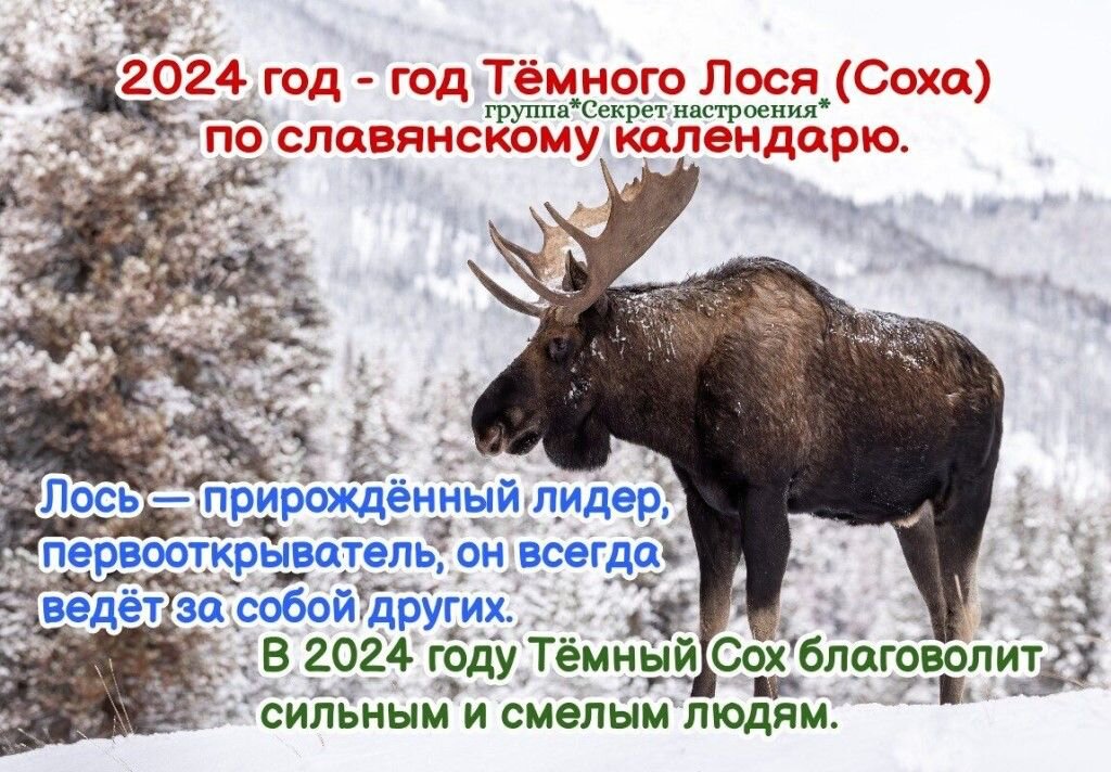 Всех с новым годом