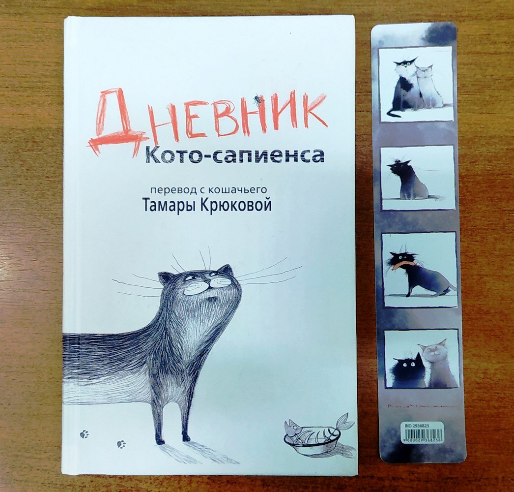 Посвящение уходящему году: книги, где рассказчиком является кот | Книги,  книжное и околокнижное | Дзен