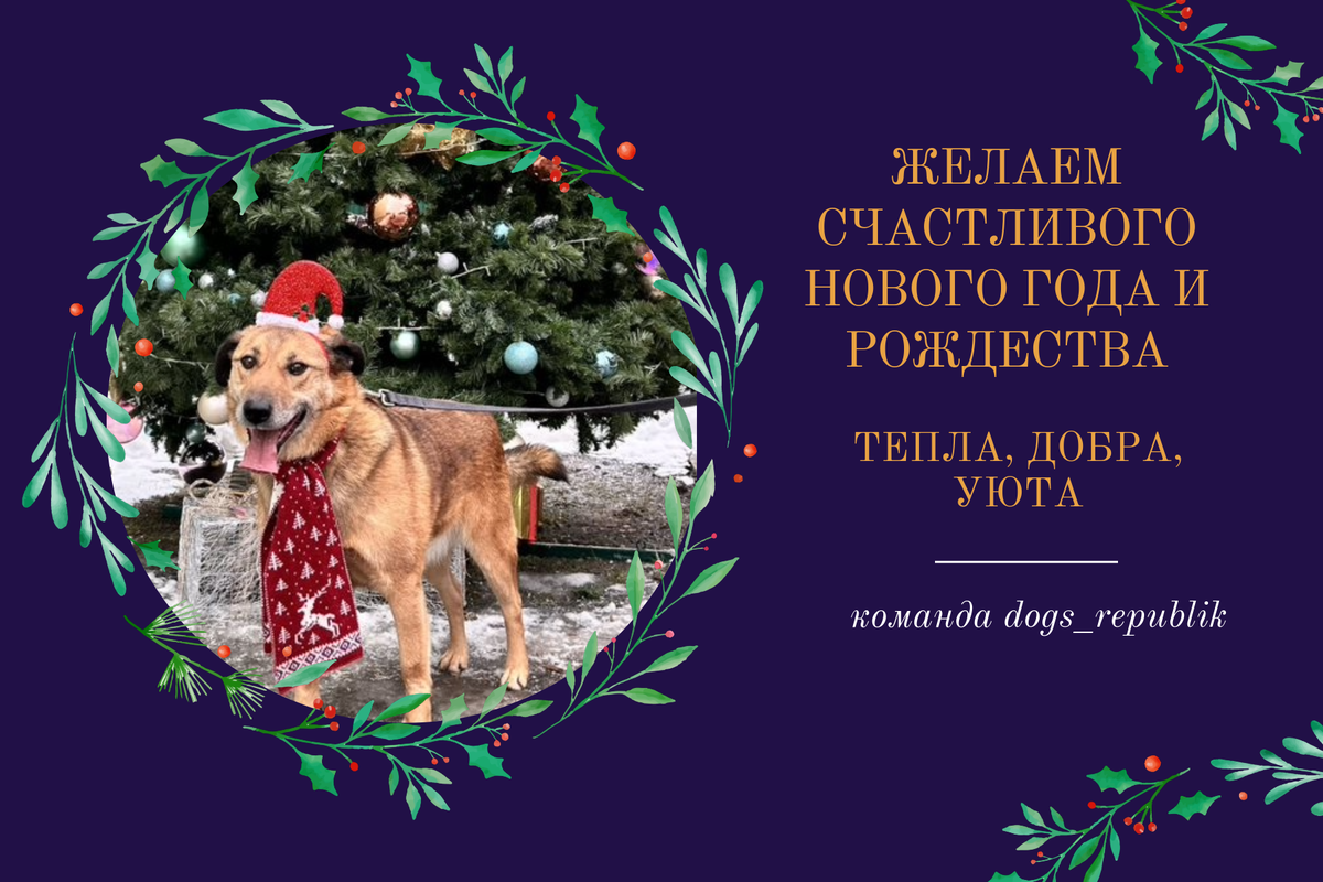 Рэд и его обаятельная улыбка