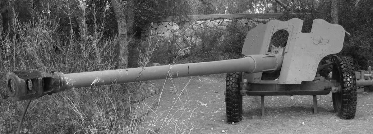 Картинка из свободных источников. Послевоенная 85-мм дивизионная пушка D-44 предназначалась для замены 76-мм пушки M1942.