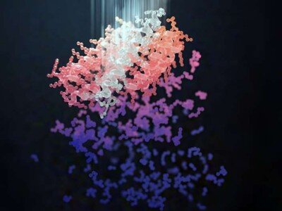    Алгоритм сгенерировал белки с невероятной силой связывания