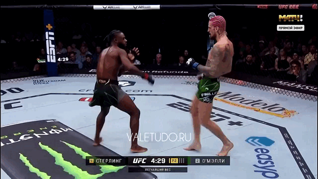 Разве что Шона О'Мэлли можно назвать ярким представителем новой волны. Отправляет на пол Алджамейна Стерлинга и становится чемпионом UFC