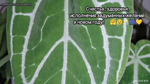 31.12.2023... Маленькие радости в последний день уходящего года 🤗