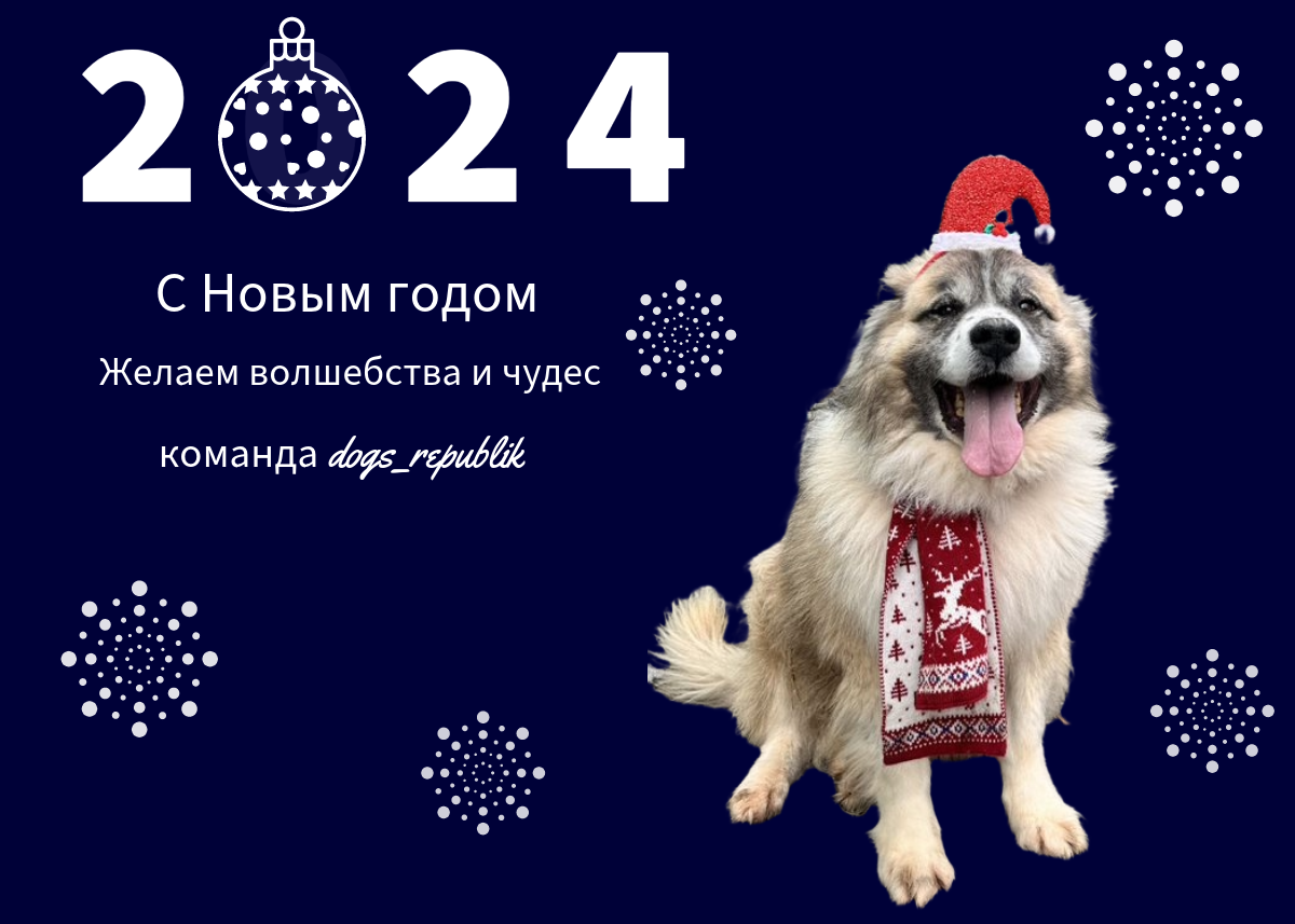 Зевс из приюта желает добра и здоровья