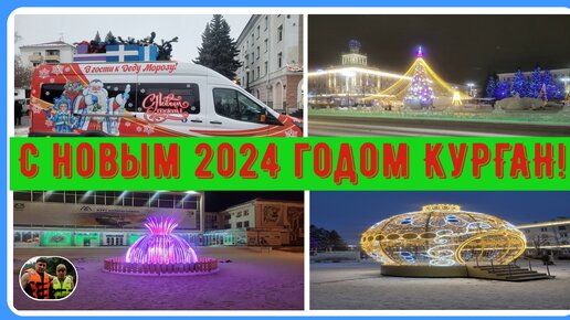 Выставка кошек курган 2024 рио