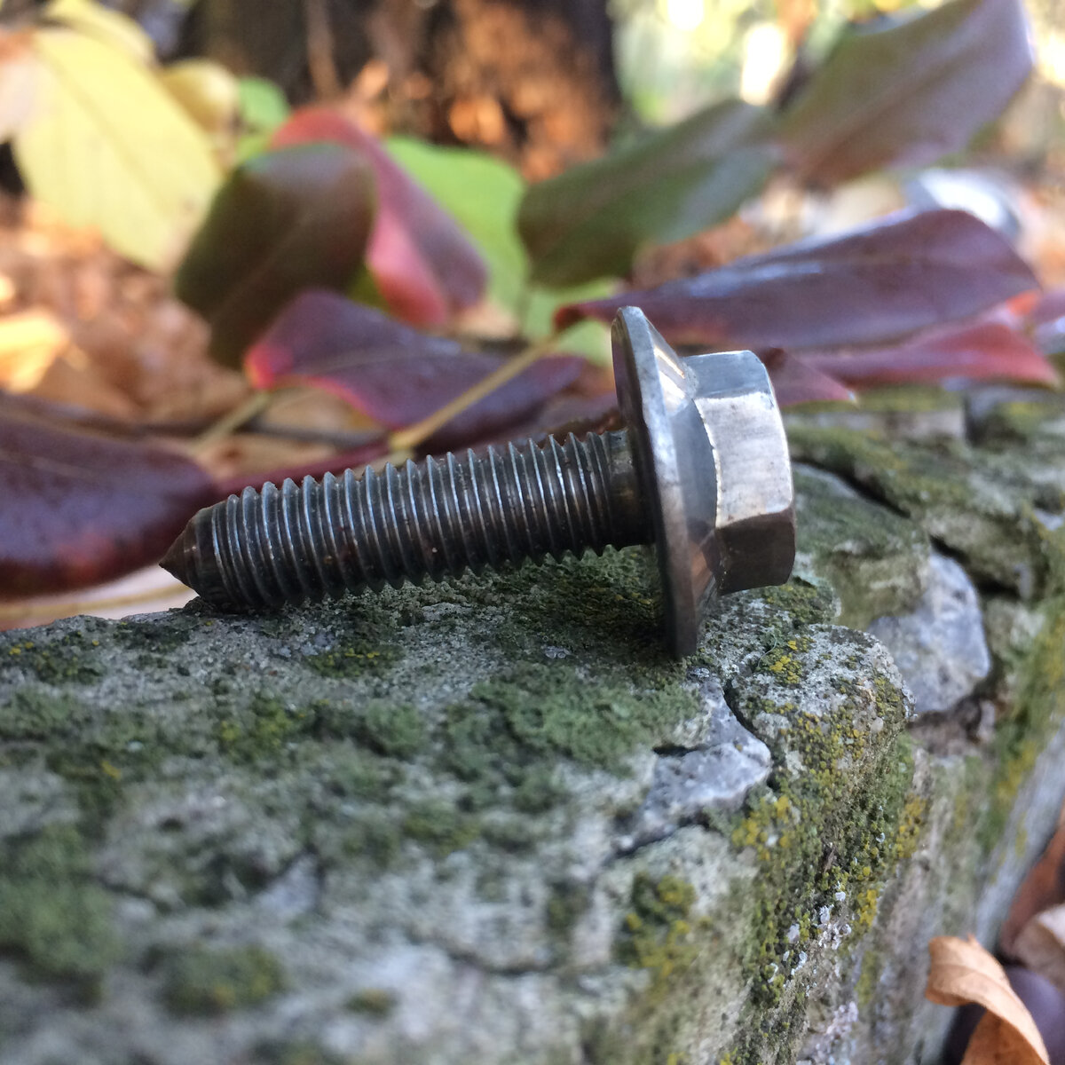 Фото автора статьи