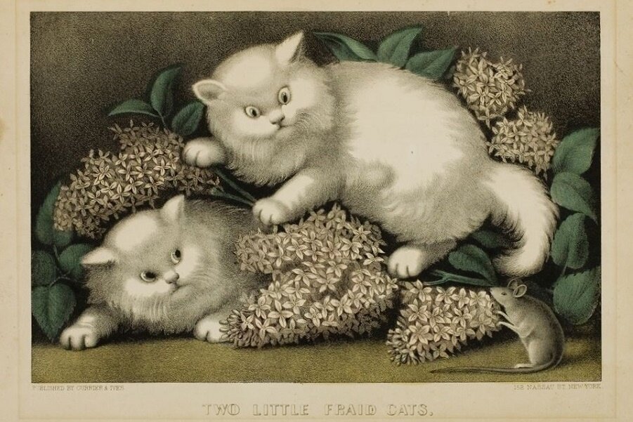 Литография, 1890 г. Взято отсюда - https://tanjand.livejournal.com/3709973.html