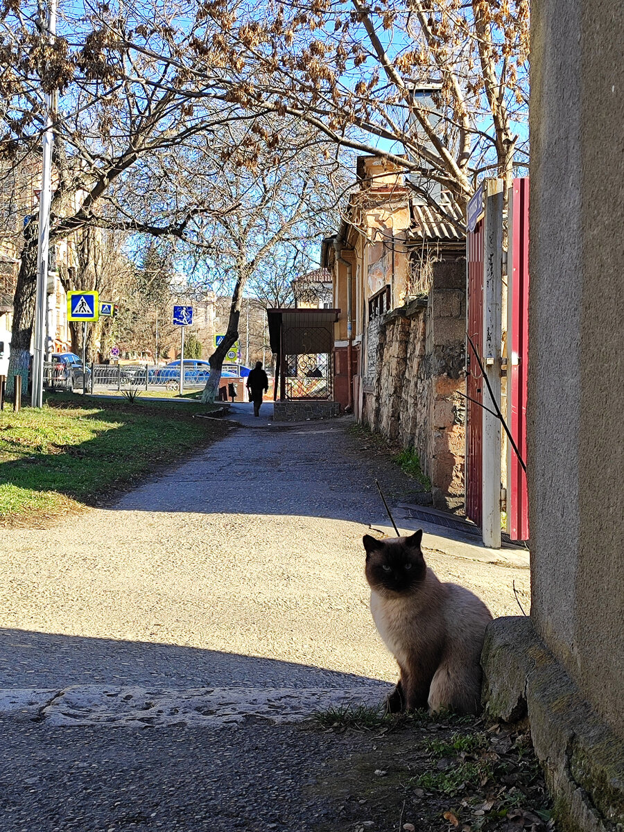 Декабрь, который немного апрель (декабрь 2023 года) 