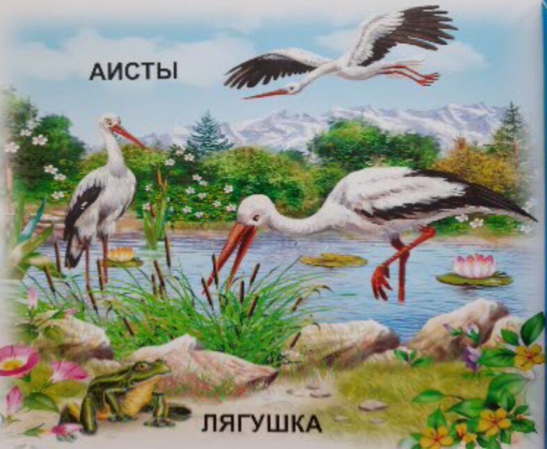 Скорость полета аиста. Аист может лететь со. Спящий аист. Аист может лететь со. Аист фото.