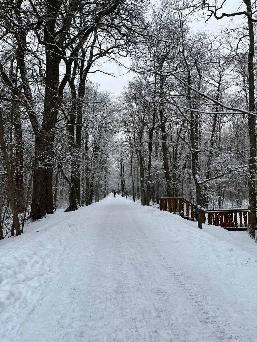 Сестрорецк парковая