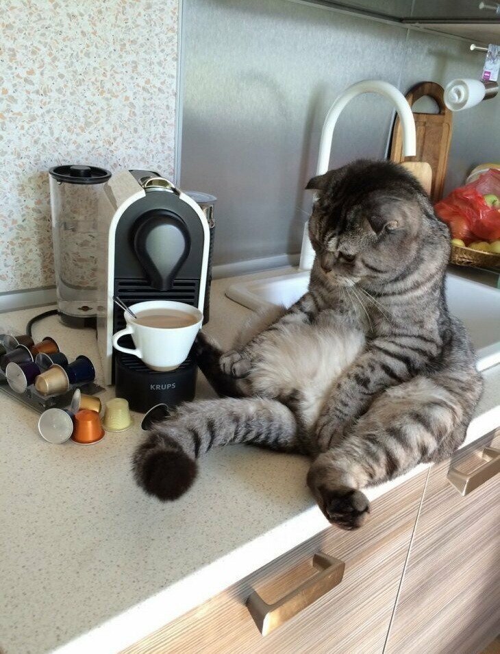 Яндекс. Открытый источник 