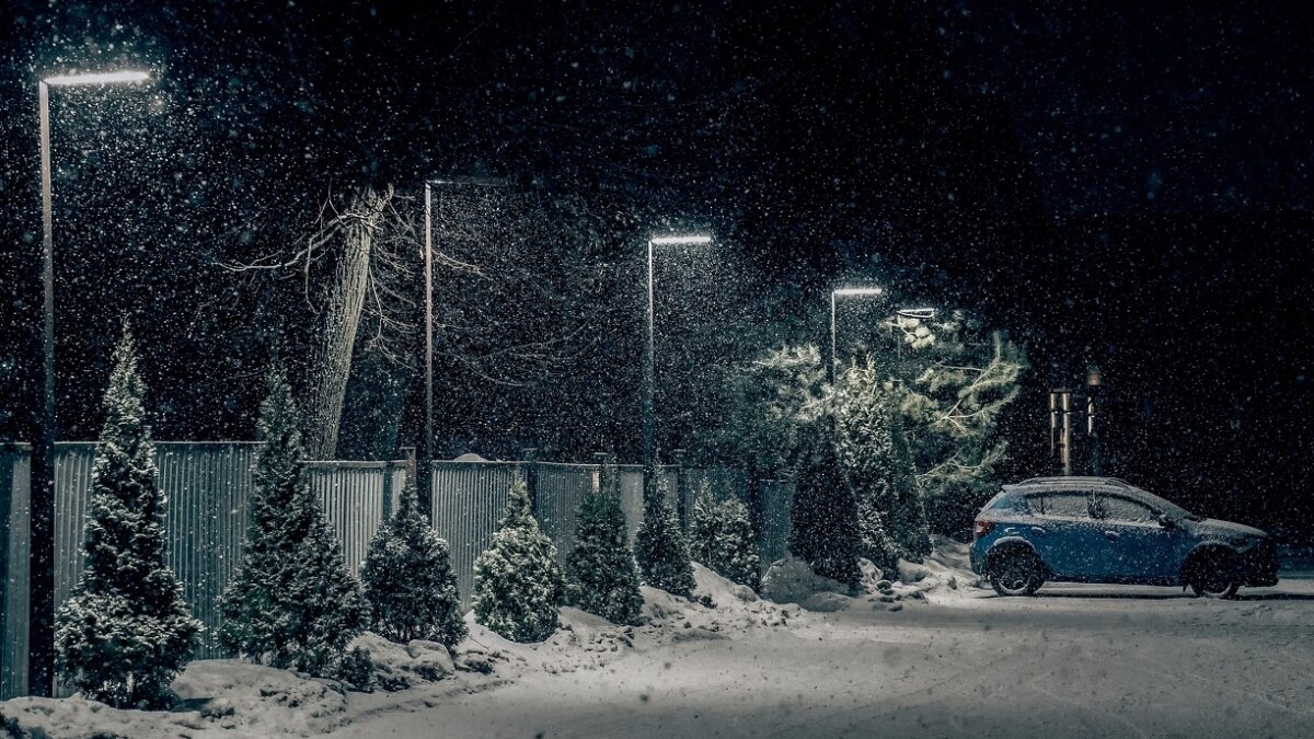 Светлана Мулыкина📷
