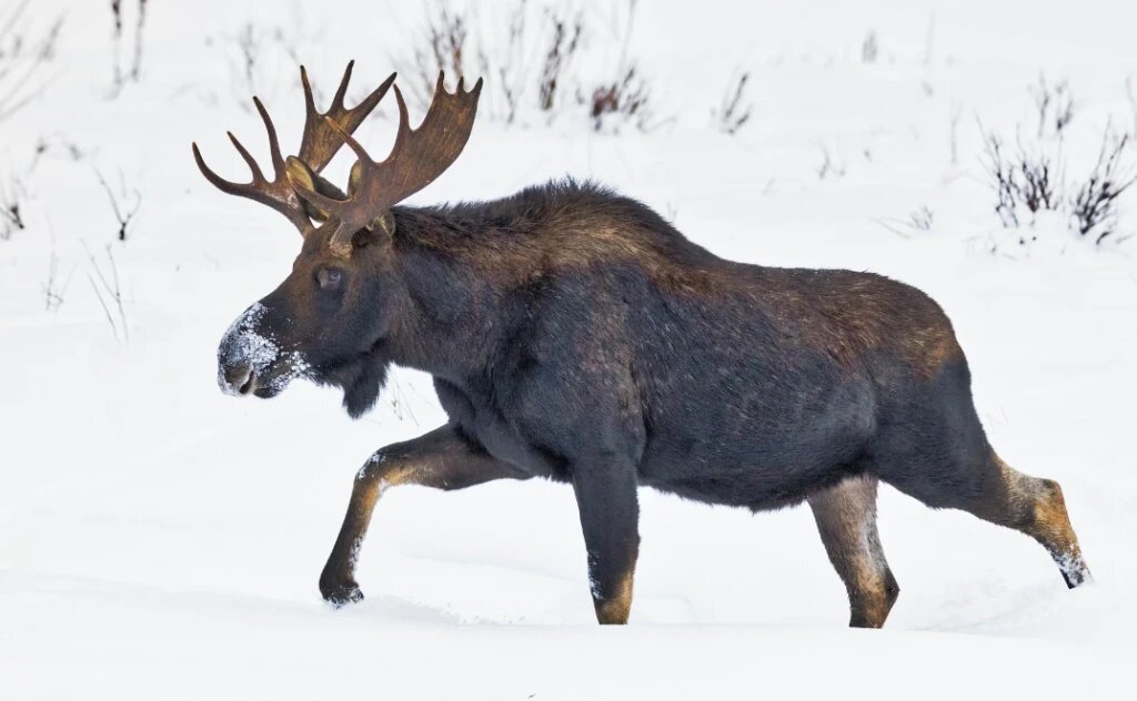 ����������� ��� � ��� 2024-����� ������. ��� ����������� ������������� ��� � ������ ���������� ������� ���� I. ������� �� ���� � ���������� ������� ���� ���� ���������.-3