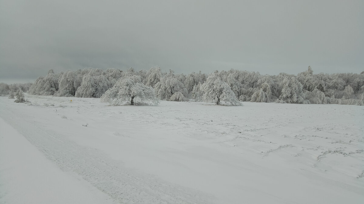 Сказочный портал 