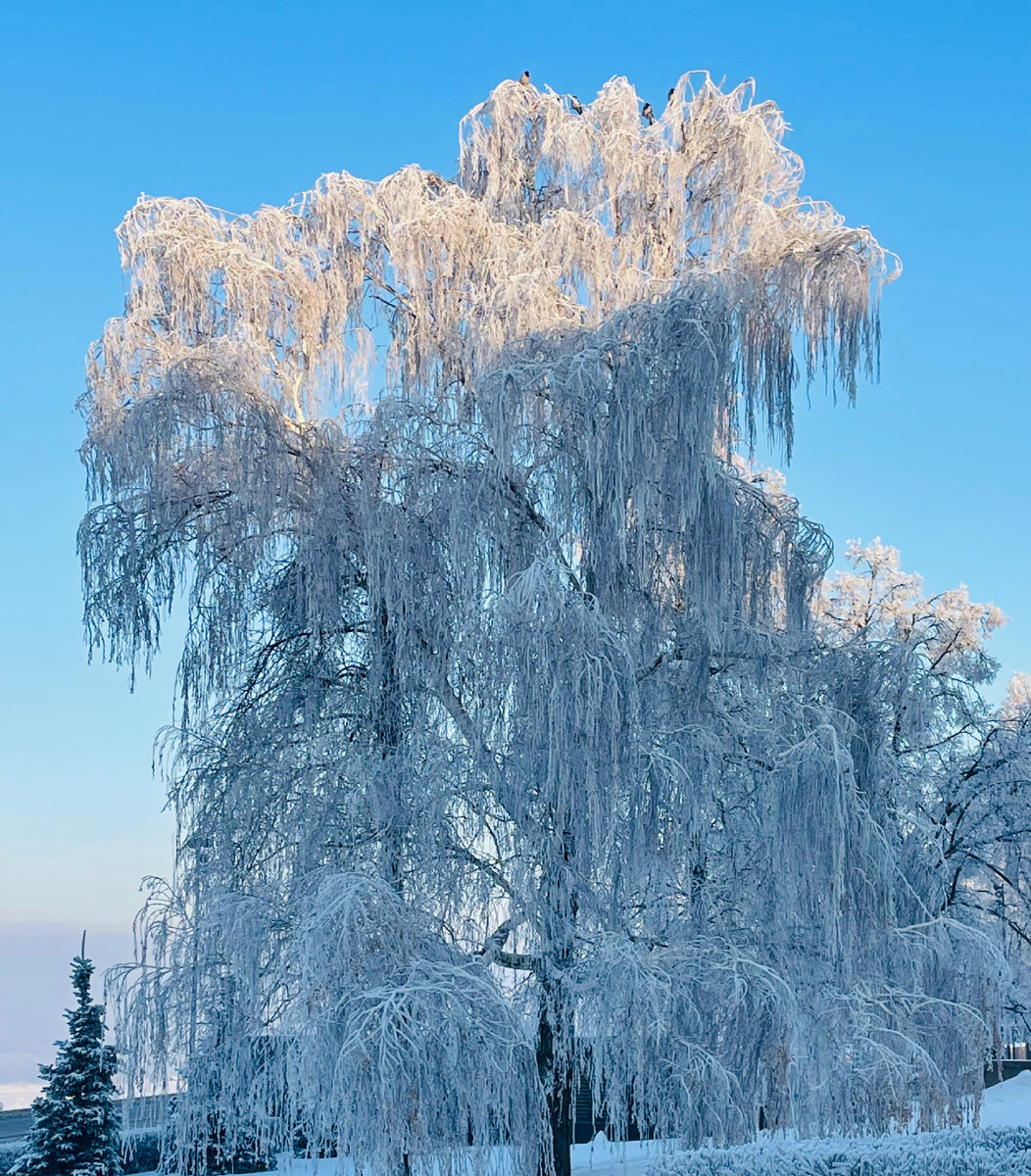 Эта красота и подсказала недостающую строчку