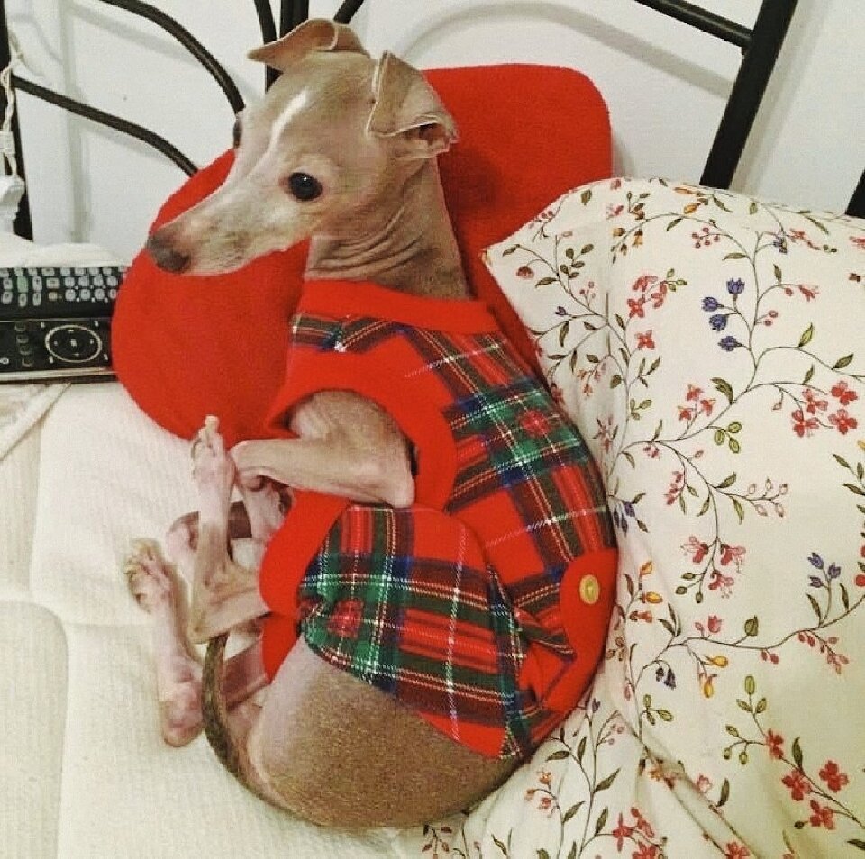 Дома уютно и ничего не пугает