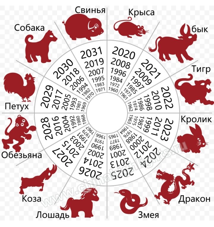 Какой год будет в 2024 году