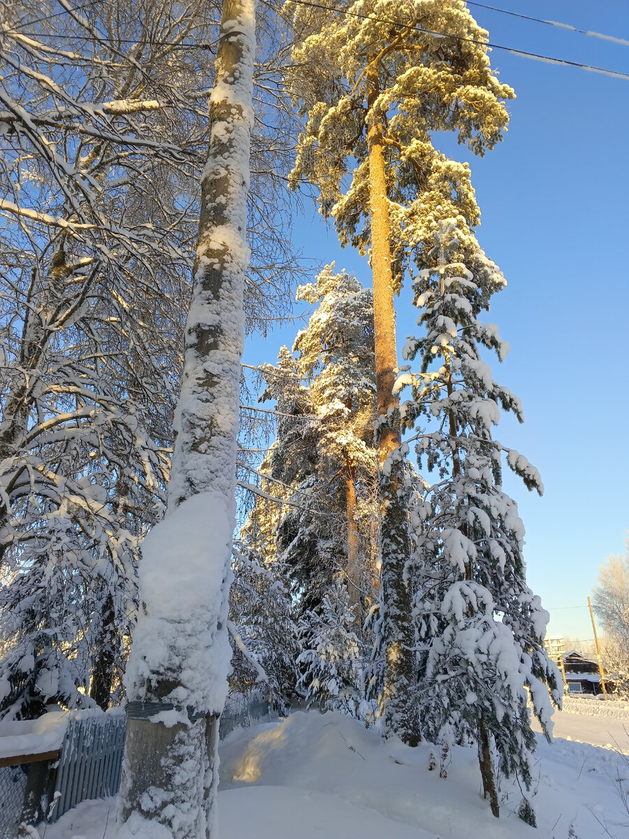 Пенсия в карелии