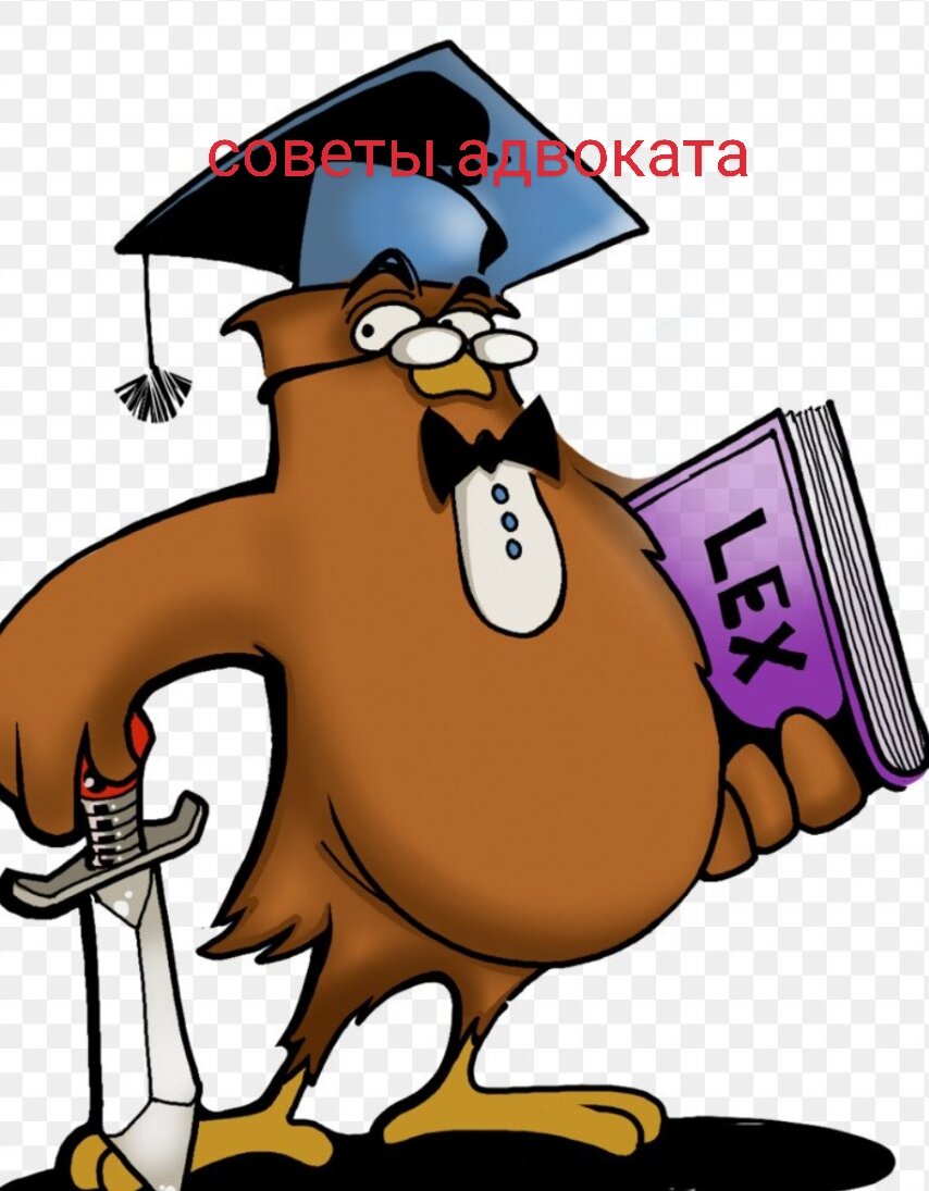 Совет адвоката. Свидетели в суде. 