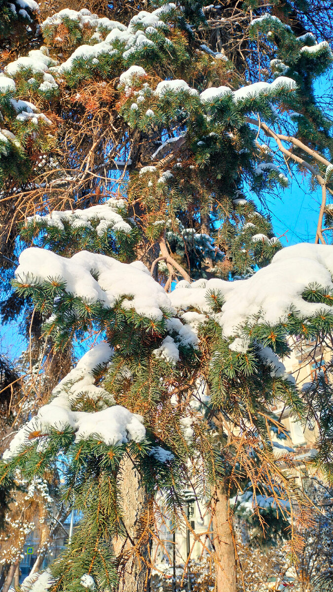 Январь 2024. Фото автора.