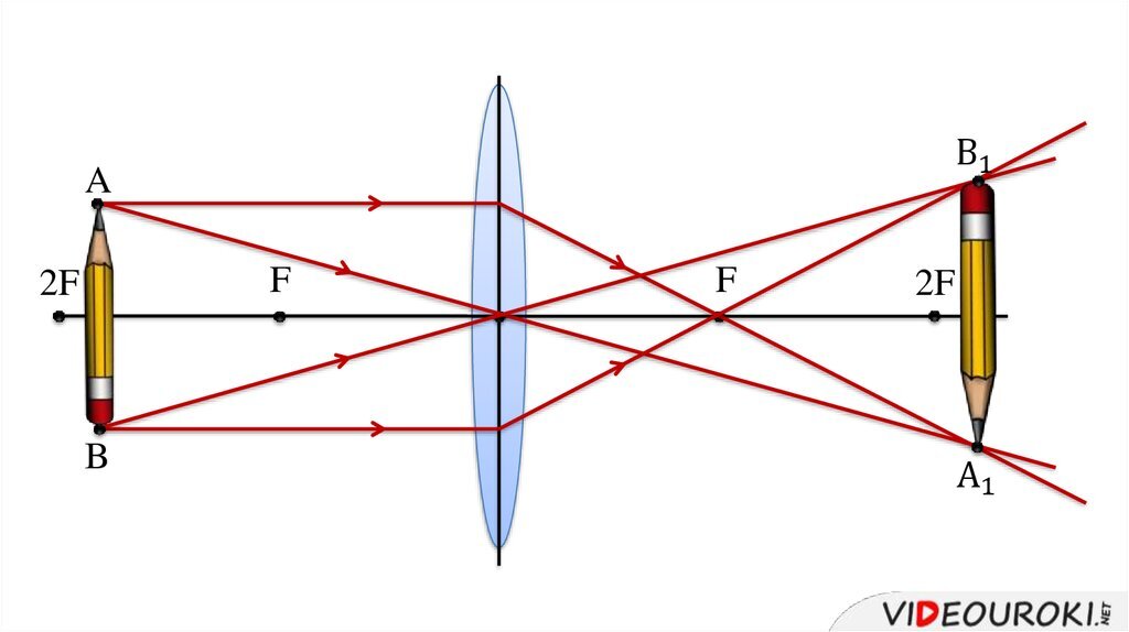 Изображение предмета на сетчатке глаза. Как видит глаз человека. Почему перевернуто изображение. Почему изображение в ложке перевернутое. Изображение предмета на сетчатке глаза.
