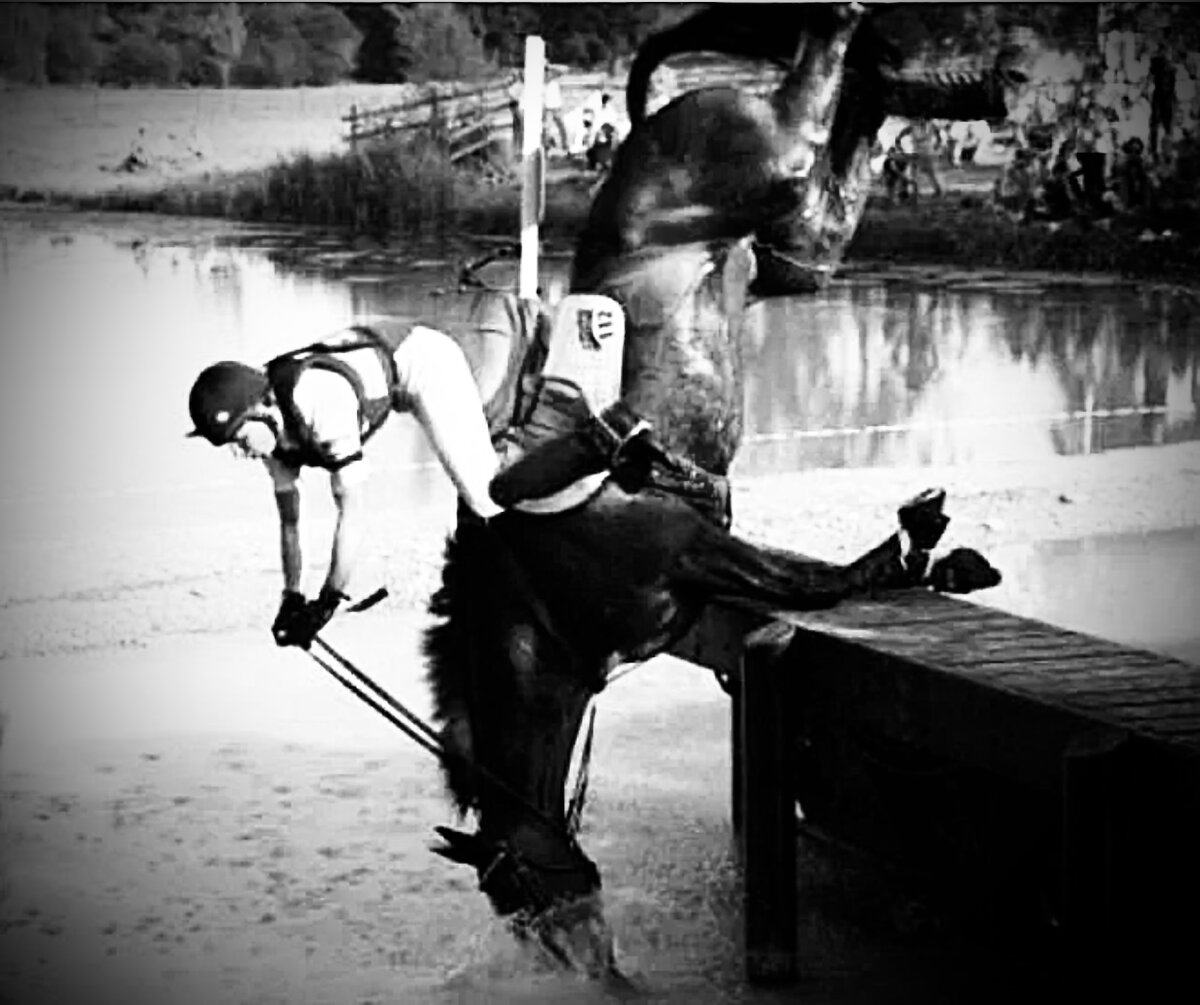 Фотография взята из открытого источника