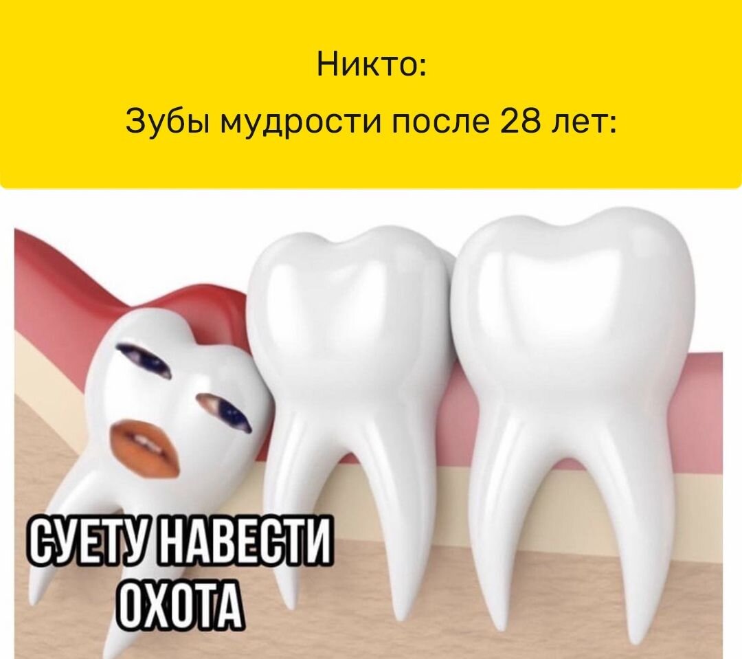 Нужно ли очищать