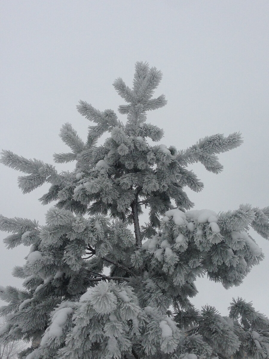 Из фотоархива автора