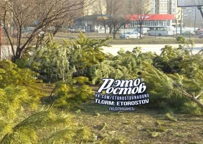 Источник фото: паблик "Это Ростов"//vk.com/etorostovnadonu