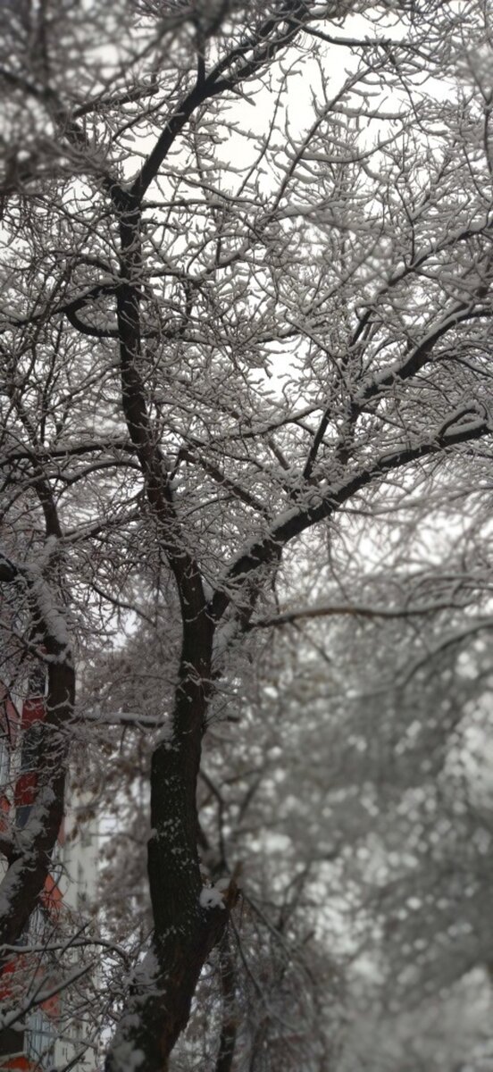 Зима на Телецентре. Уфа, 21.12.2023.Фото:Илья Казаков