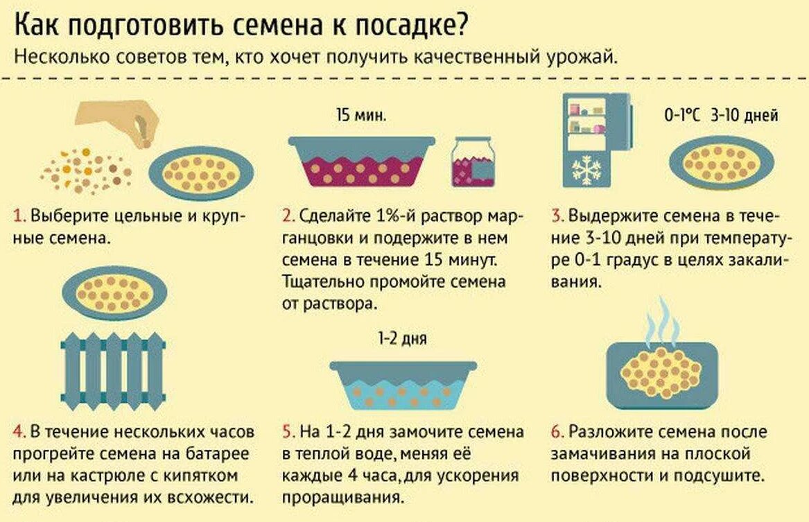Подготовка схемы к работе