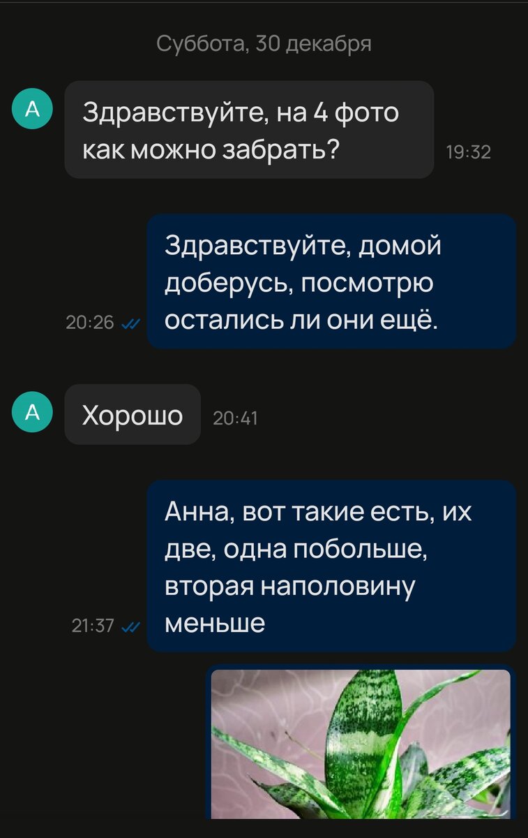 Скриншот автора