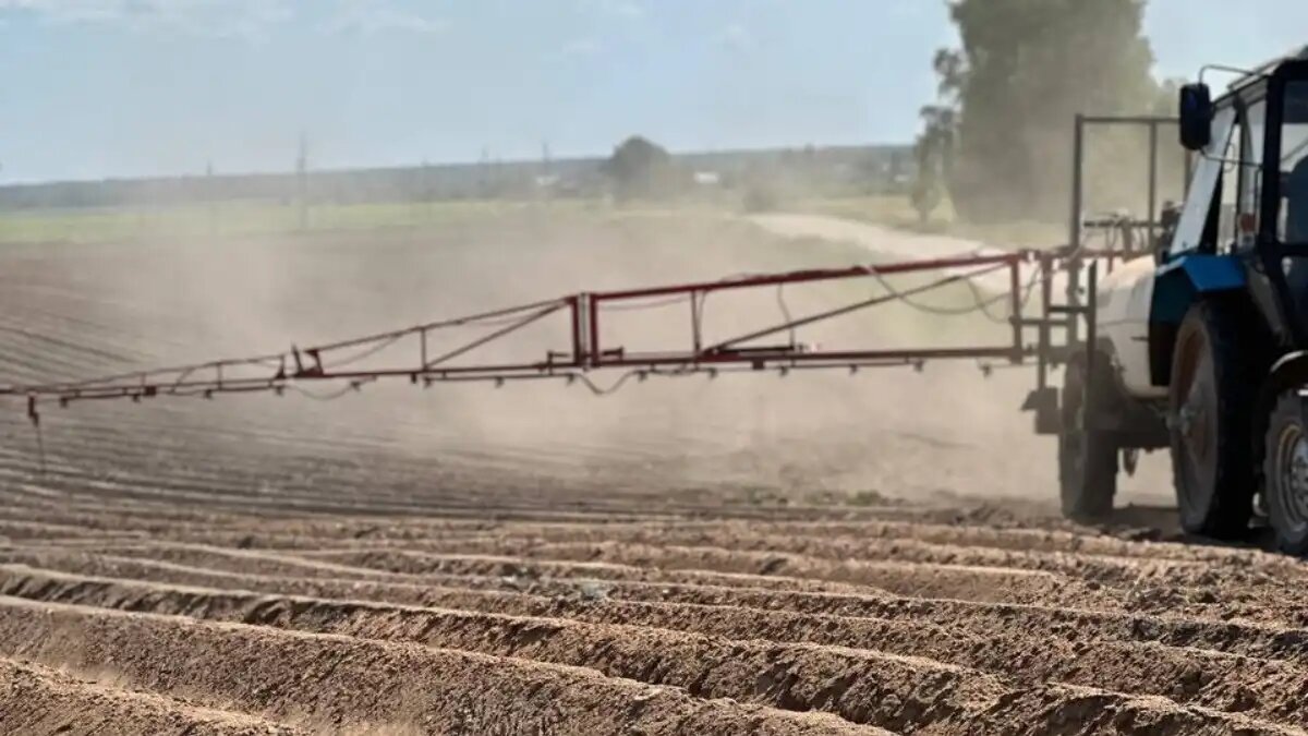 © Ольга Можейко / Glavagronom.ru Фото:© Ольга Можейко / Glavagronom.ru
Фотография носит иллюстративный характер