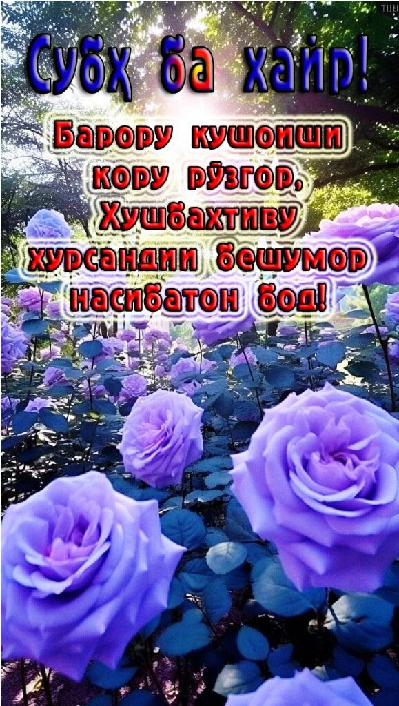 картинки Субх ба хайр на таджикском.