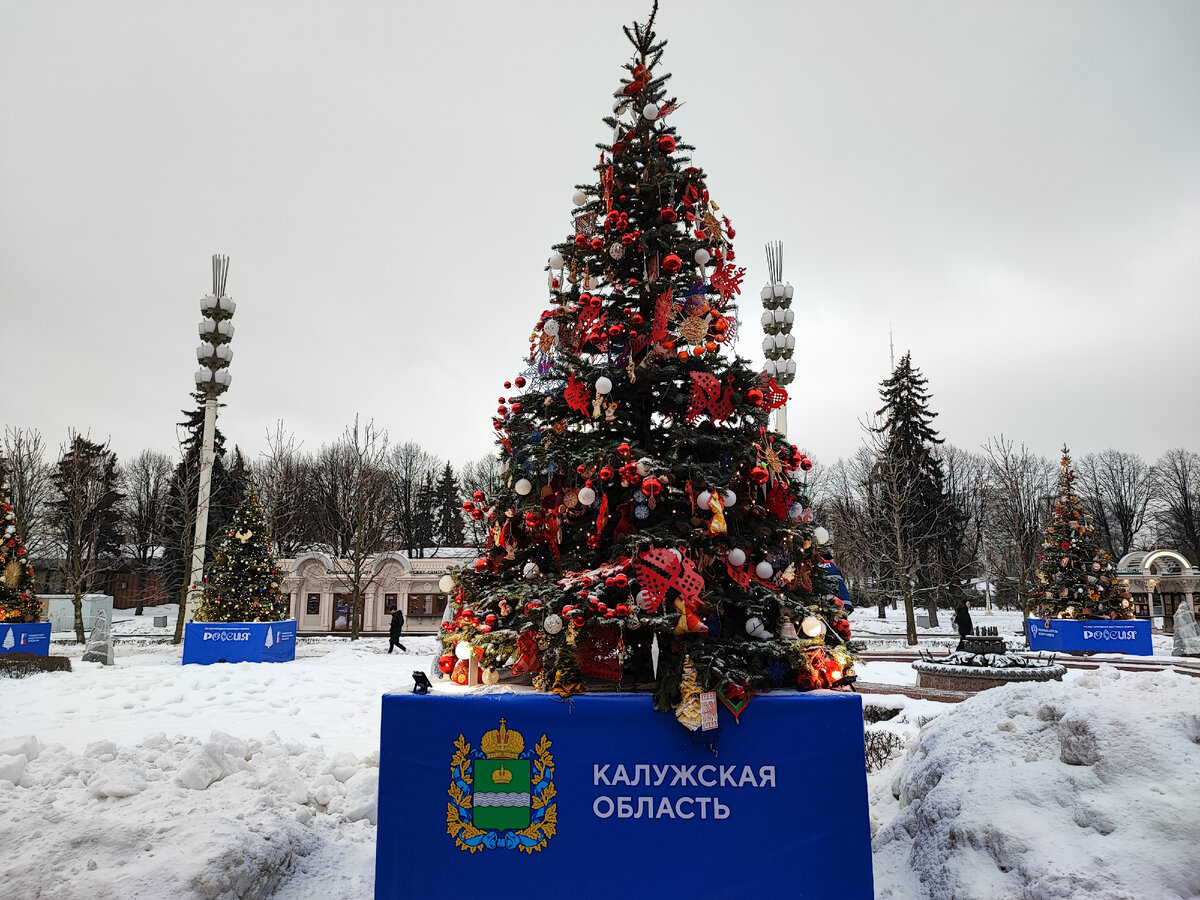 Калужская область на ВДНХ | Obninskiy.Net | Дзен