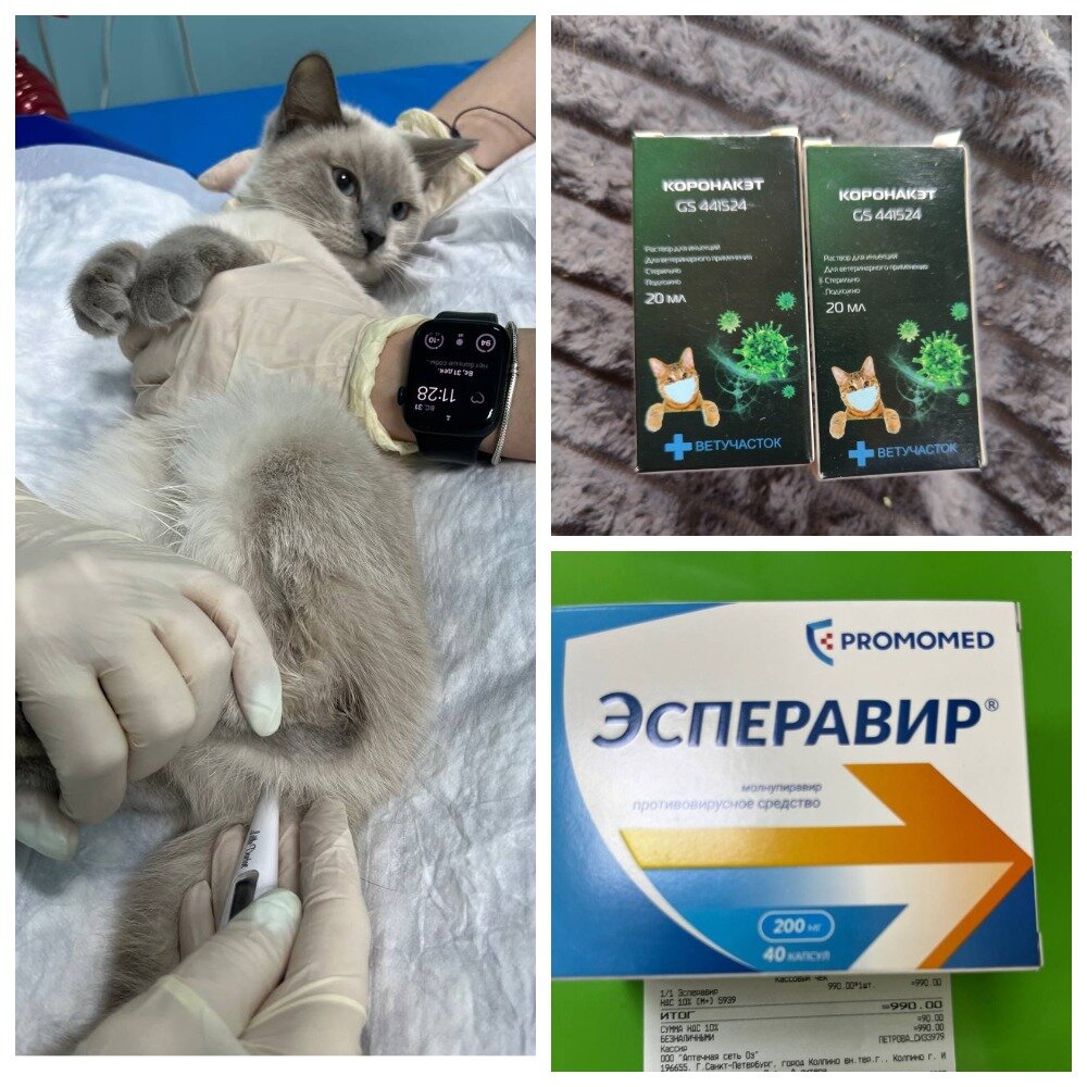 Ваши лекарства сайт
