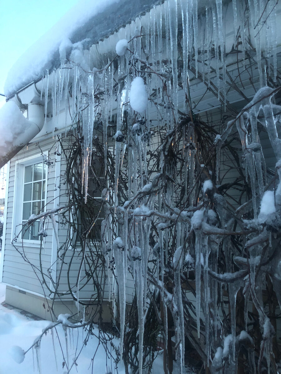 Осадка в санкт петербурге