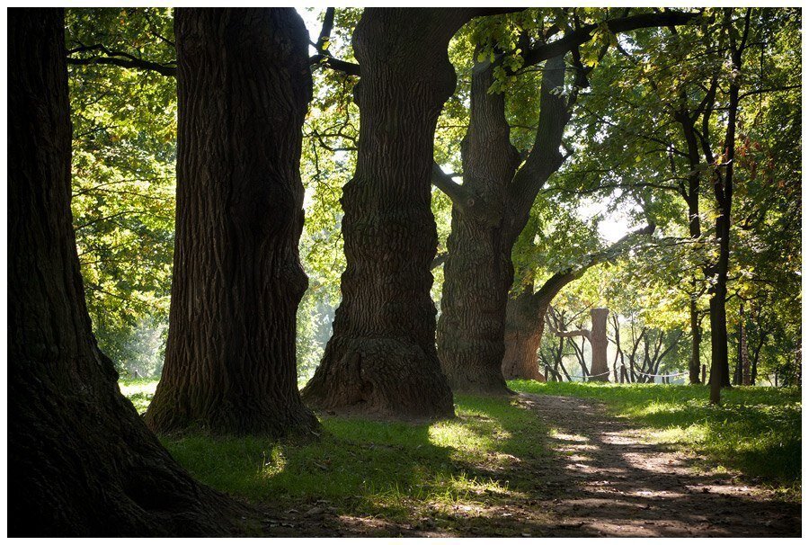 Свободный доступ интернет 