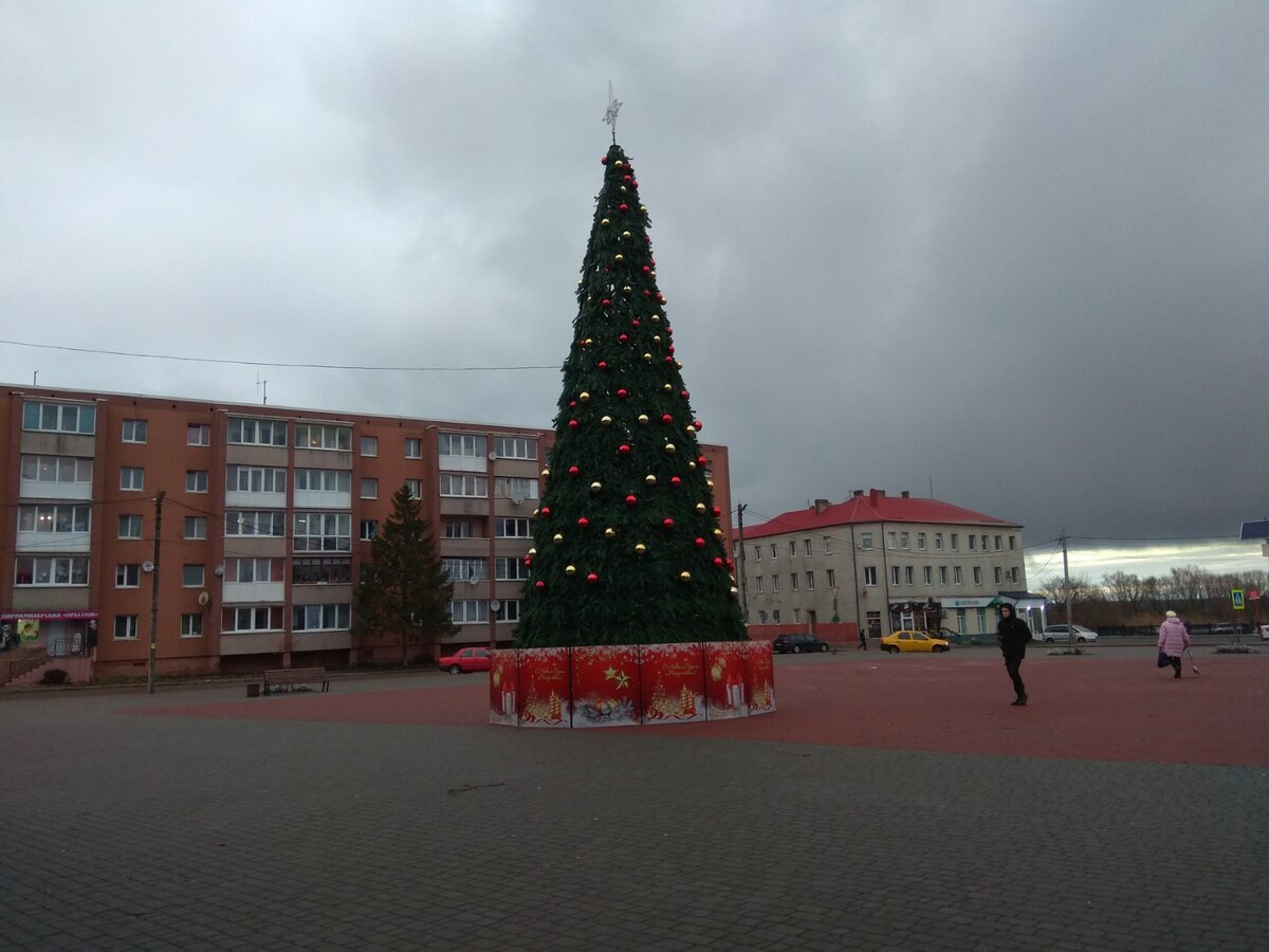 фото автора. г. Полесск Калининградская обл. 