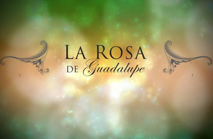 La Rosa de Guadalupe