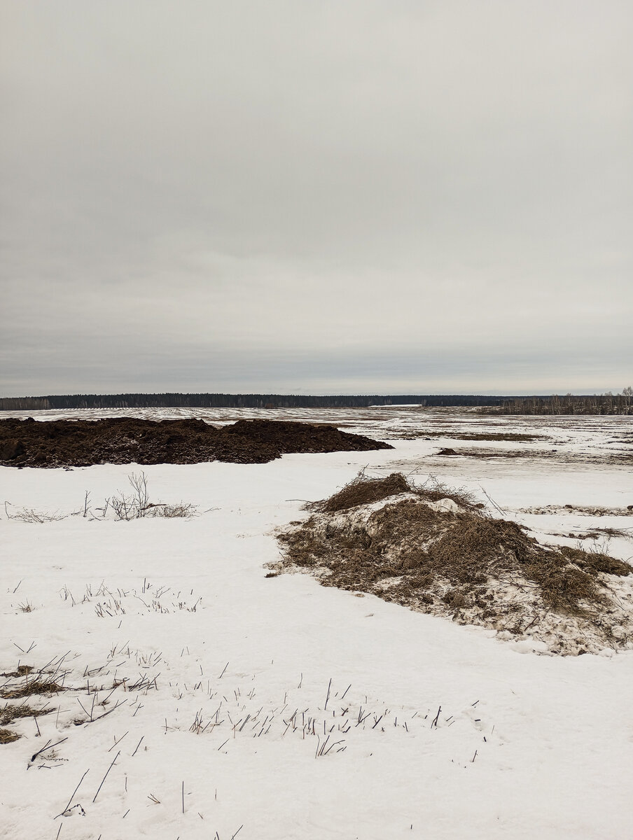 Аромат от удобрения с полей не даёт дышать | Мобильная фотография | Дзен