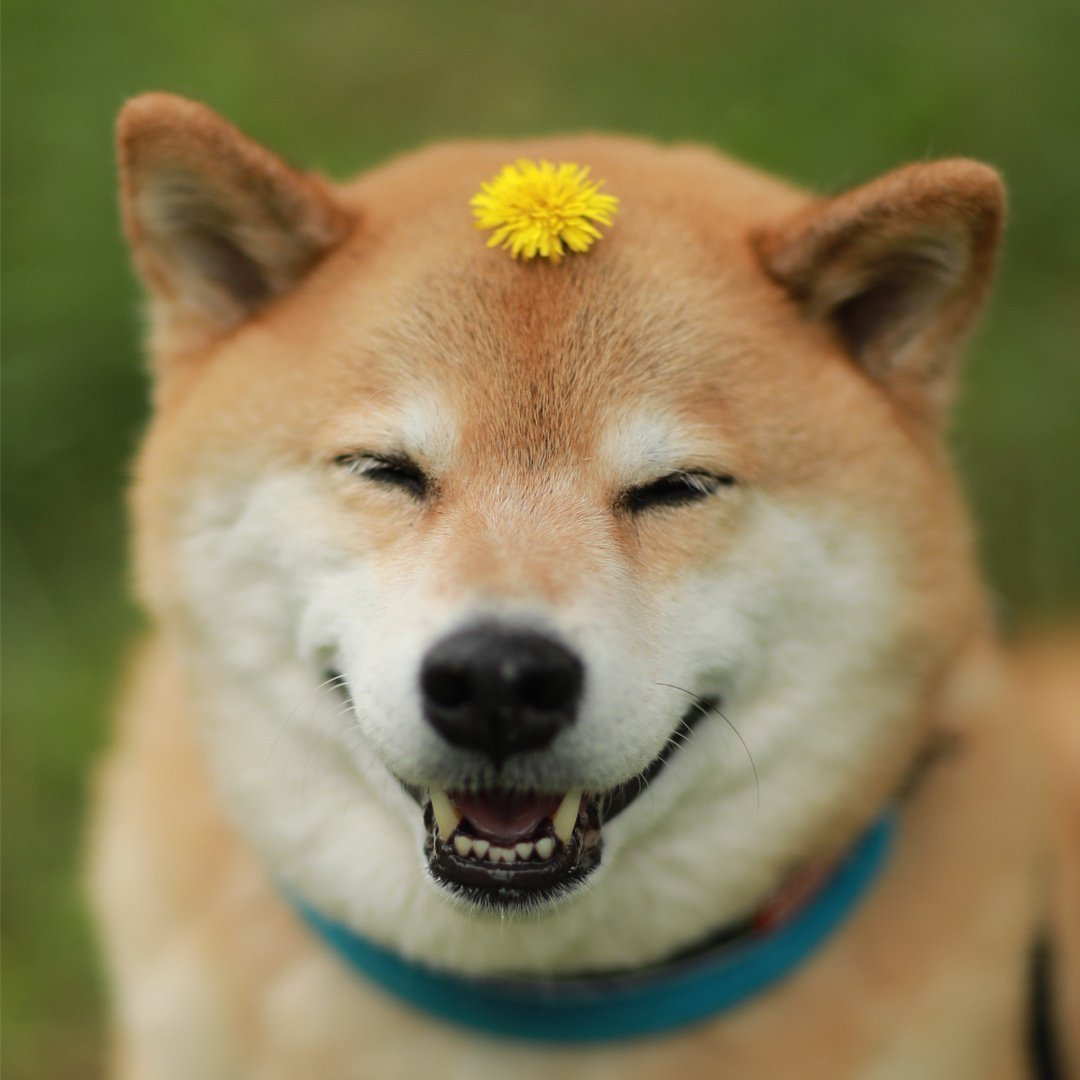 Источник - Яндекс.Картинки