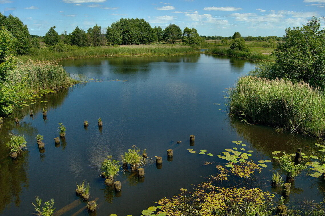 Река Вёрда